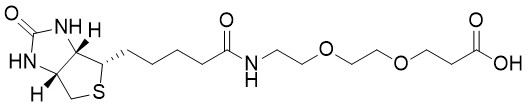 Biotin-PEG2-Acid