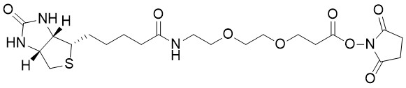 Biotin-PEG2-NHS ester