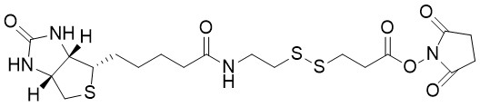 Biotin-SS-NHS