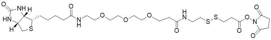 Biotin-SS-PEG3-NHS