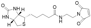 Biotin-Maleimide