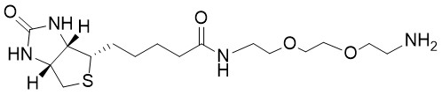 Biotin-PEG2-Amine