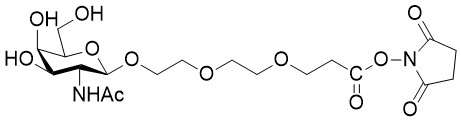 βGalNAc-PEG3-NHS